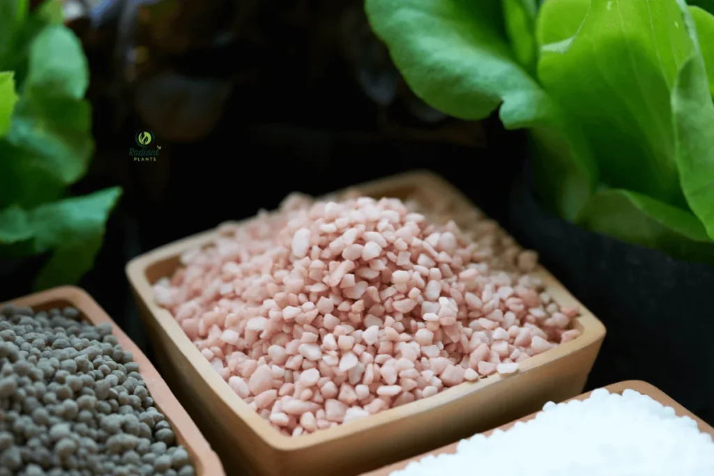 Best Fertilizer Products for Reviving Sick Houseplants