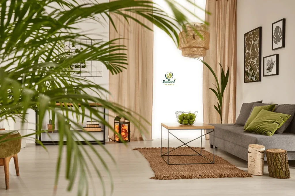 7 Perfect Houseplants That Work as Best Plants for Every Room