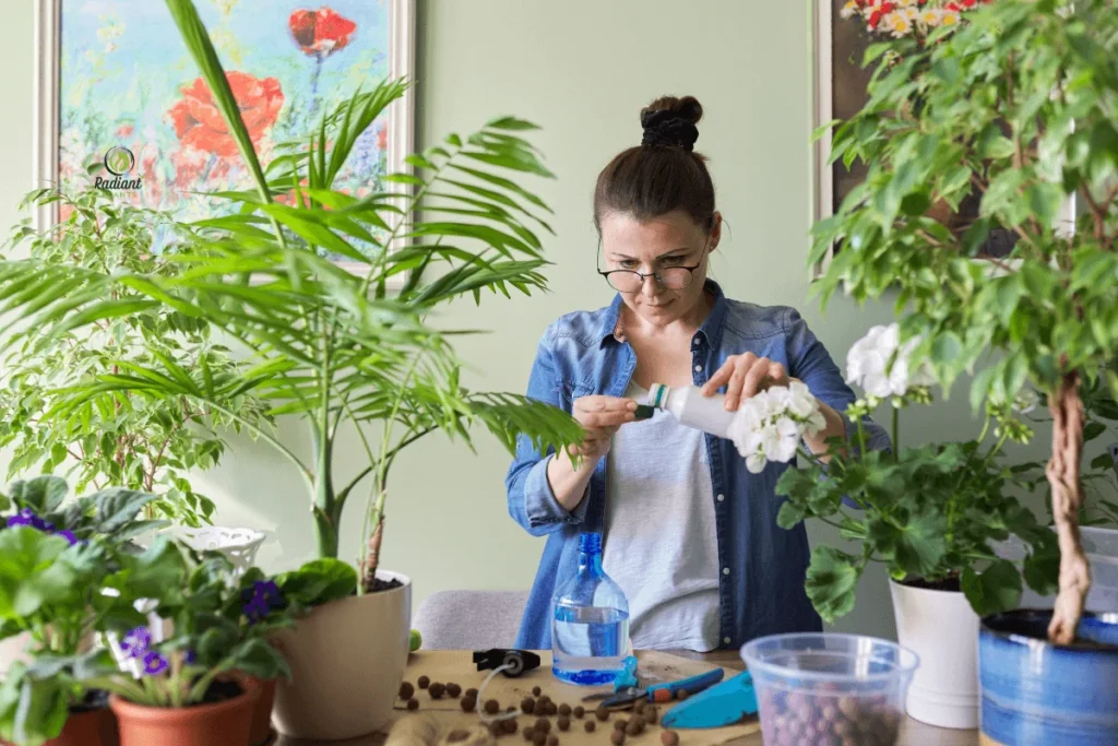 Applying Best Fertilizer for Sick Plants Indoor Care