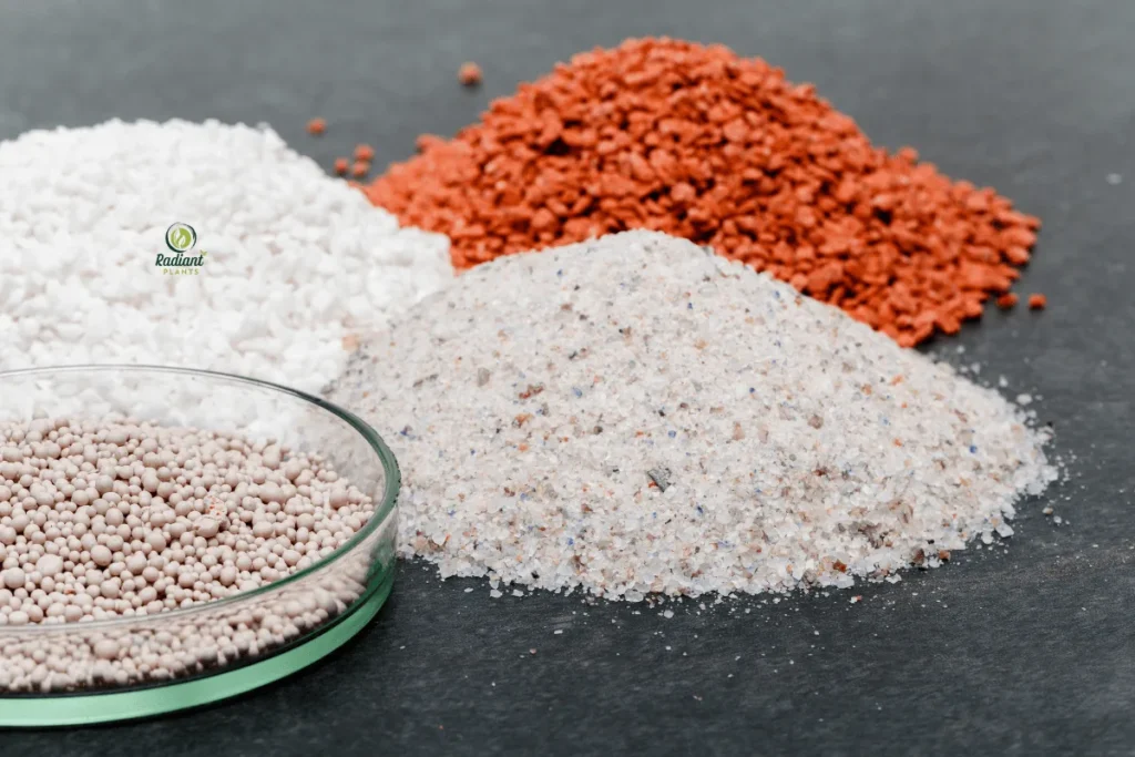 Before and After: Best Fertilizer for Sick Plants Results