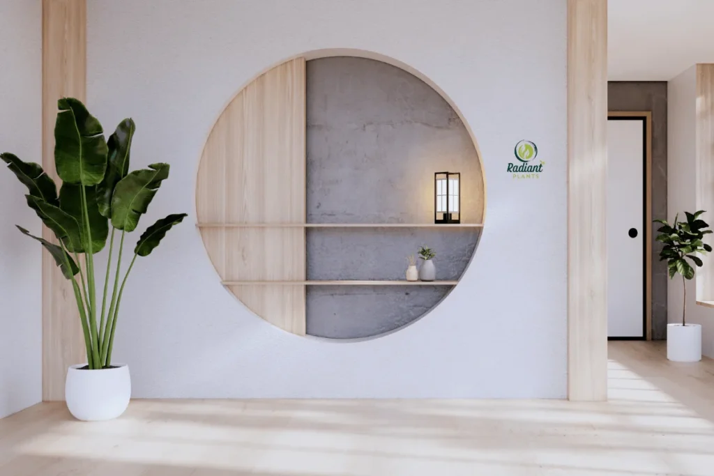 Low-maintenance [Indoor Tree Plants] like Rubber Plant in bright modern living room