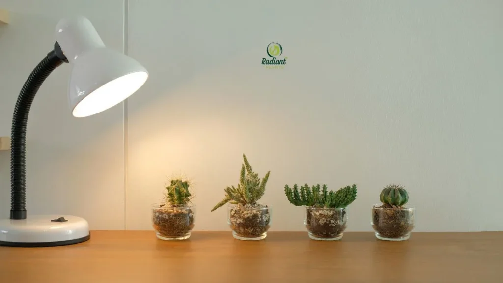 LED Grow Lights for Home Gardening