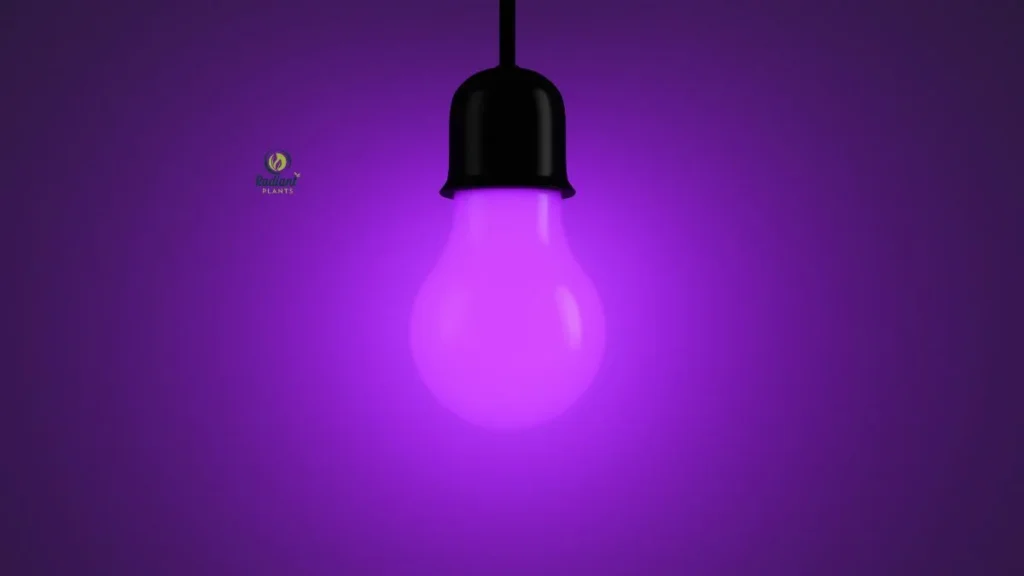 UV Light for Indoor Plants