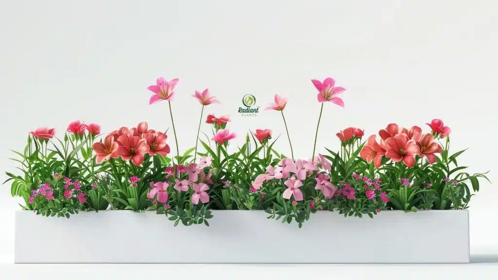Self-Watering Planter Boxes for Windows