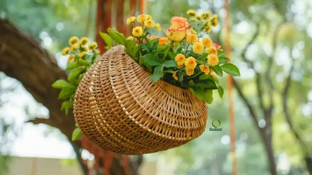 designing plants for hanging baskets